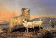 Richard ansdell,R.A. A Ewe with Lambs and A Heron Beside A Loch oil painting reproduction